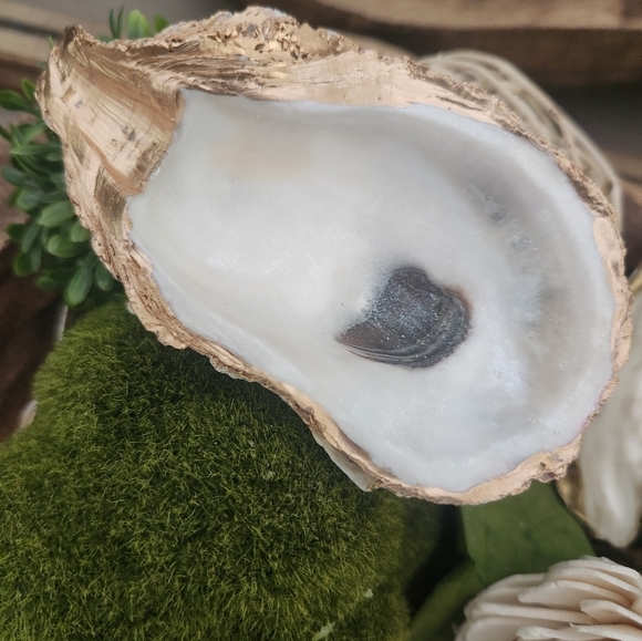 Elegant unique oyster jewelry dish - Picture 6 of 6